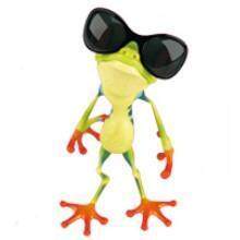 3D立体感汽车贴纸 搞笑卡通青蛙车贴避祸 壁虎车贴 逼真个性贴纸