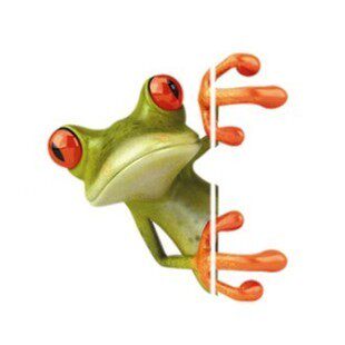 3D立体感汽车贴纸 搞笑卡通青蛙车贴避祸 壁虎车贴 逼真个性贴纸