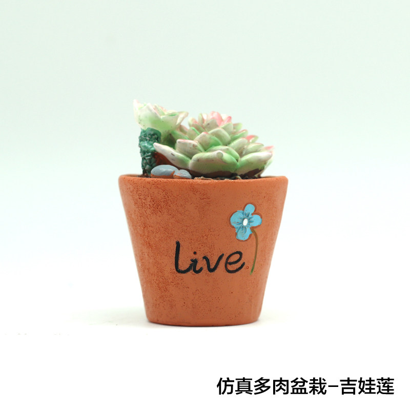 如果zakka创意迷你多肉植物小盆栽仙人掌花卧室家居装饰小摆设