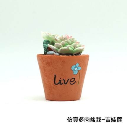 如果zakka创意迷你多肉植物小盆栽仙人掌花卧室家居装饰小摆设